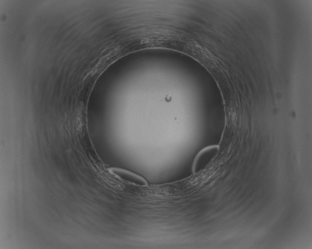 X0000073861012200608170937