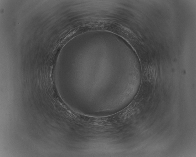 X0000073861013200608170937