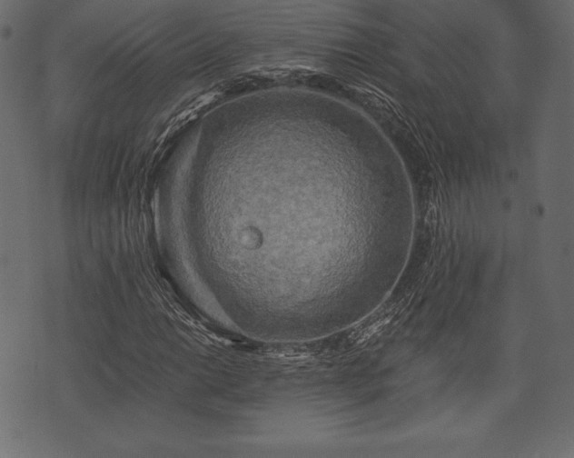 X0000073861014200608170937