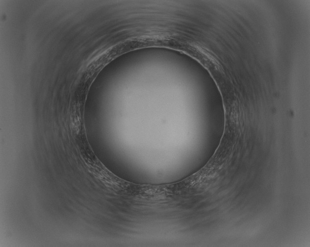 X0000073861015200608170937