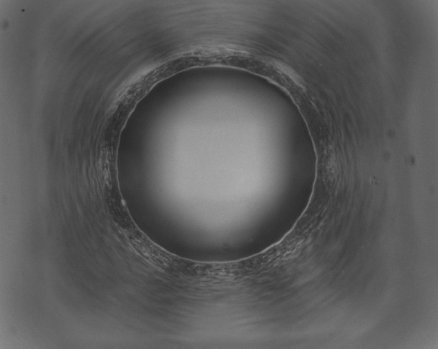 X0000073861016200608170937