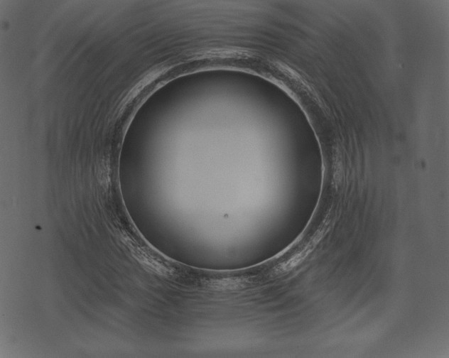 X0000073861017200608170937