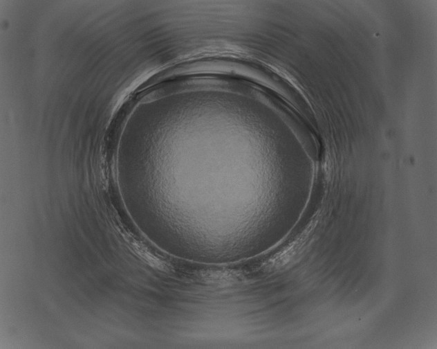 X0000073861018200608170937