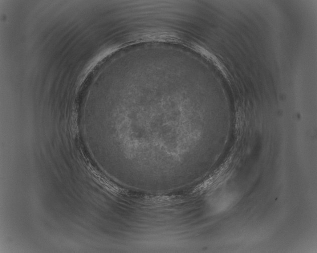 X0000073861019200608170937