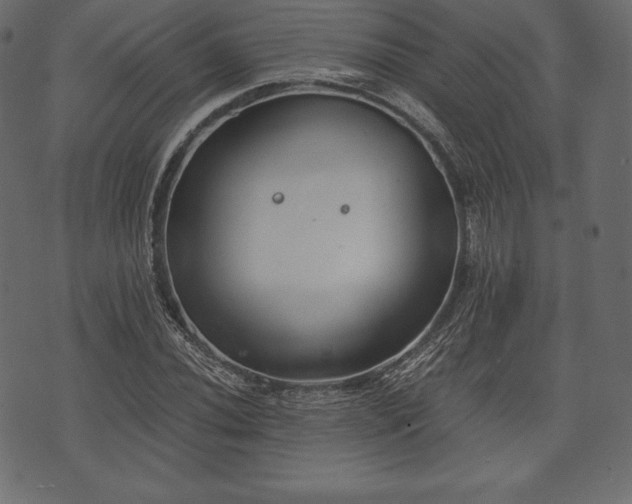 X0000073861020200608170937