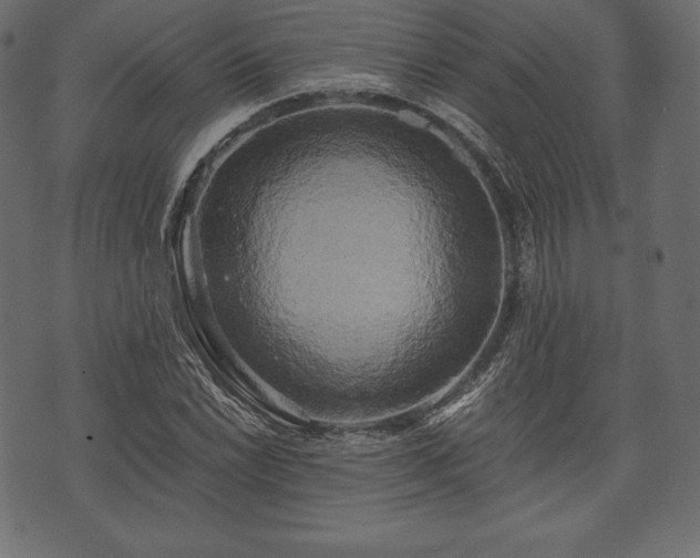 X0000073861022200608170937