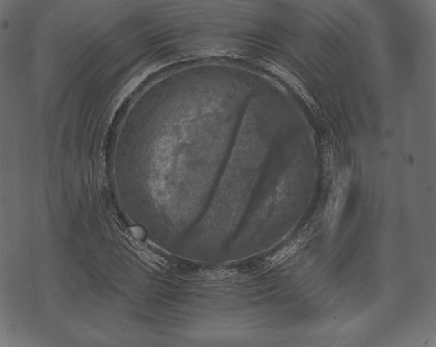 X0000073861023200608170937