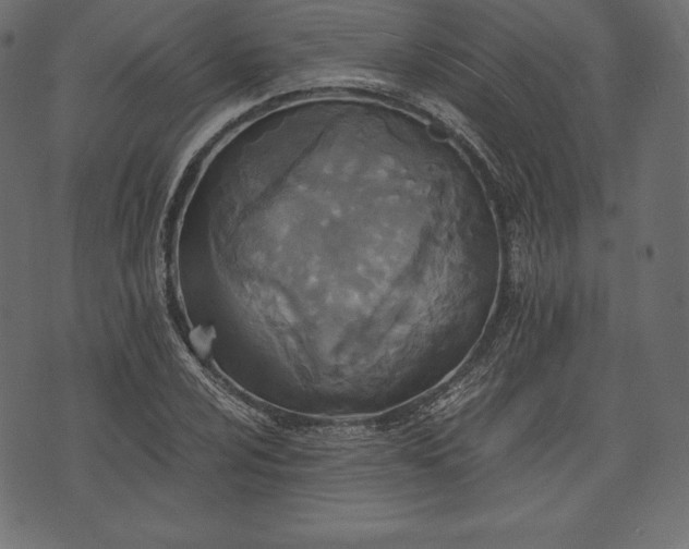 X0000073861024200608170937