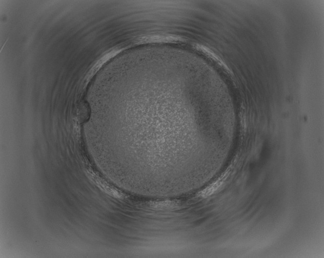 X0000073861025200608170937