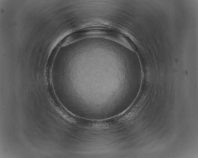 X0000073861026200608170937