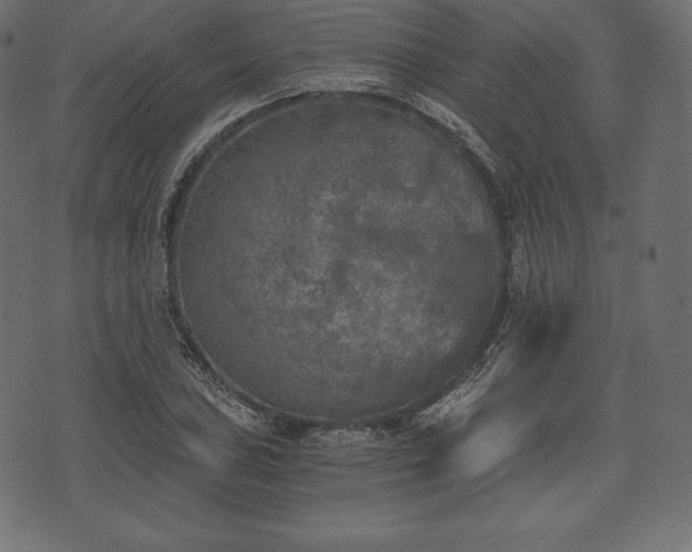 X0000073861027200608170937