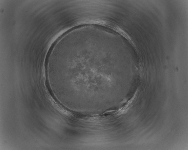 X0000073861028200608170937