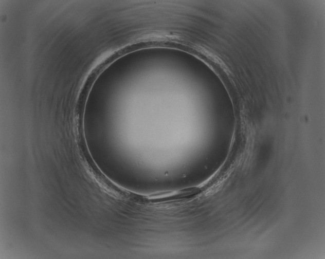 X0000073861029200608170937