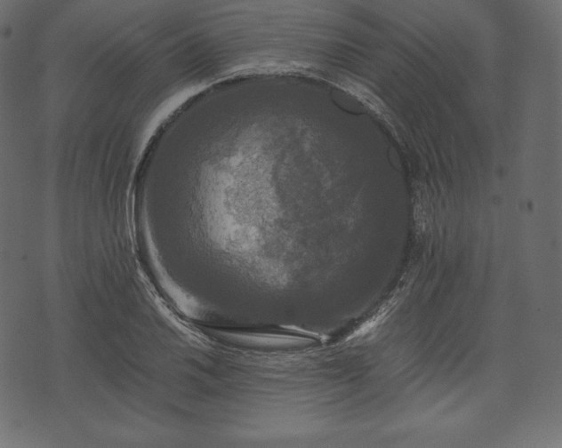 X0000073861030200608170937