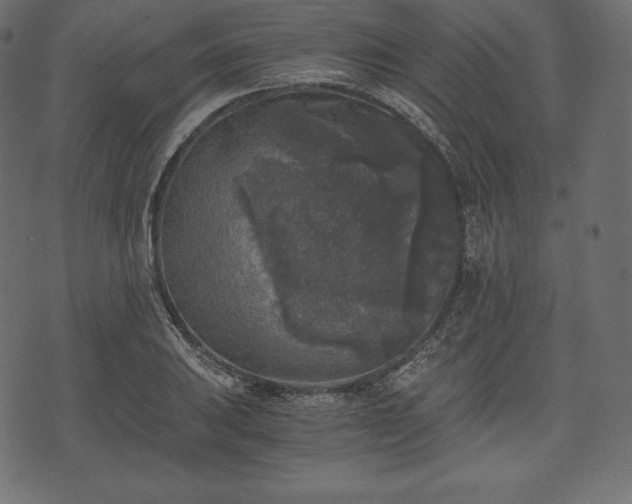 X0000073861031200608170937