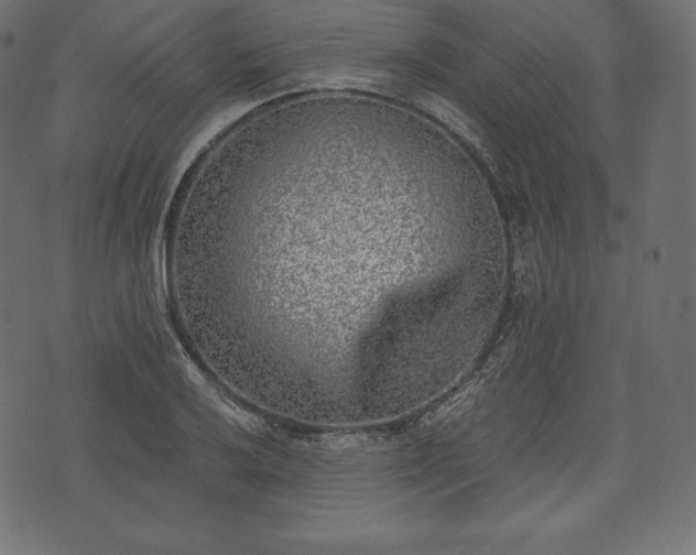 X0000073861032200608170937