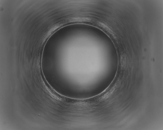 X0000073861033200608170937