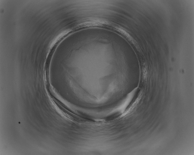 X0000073861034200608170937