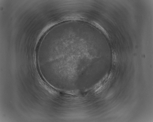 X0000073861035200608170937