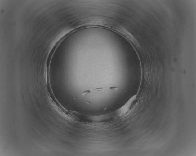 X0000073861036200608170937