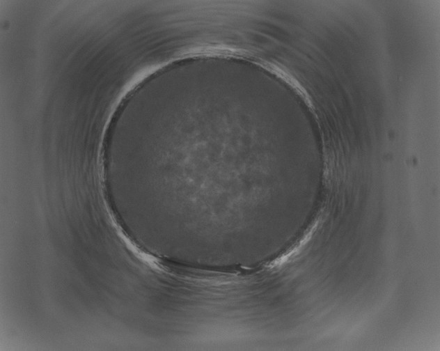 X0000073861037200608170937