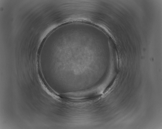 X0000073861038200608170937