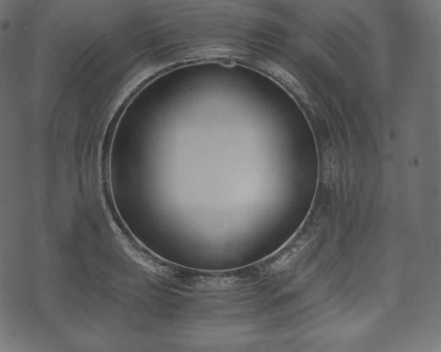 X0000073861039200608170937