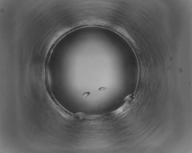 X0000073861040200608170937