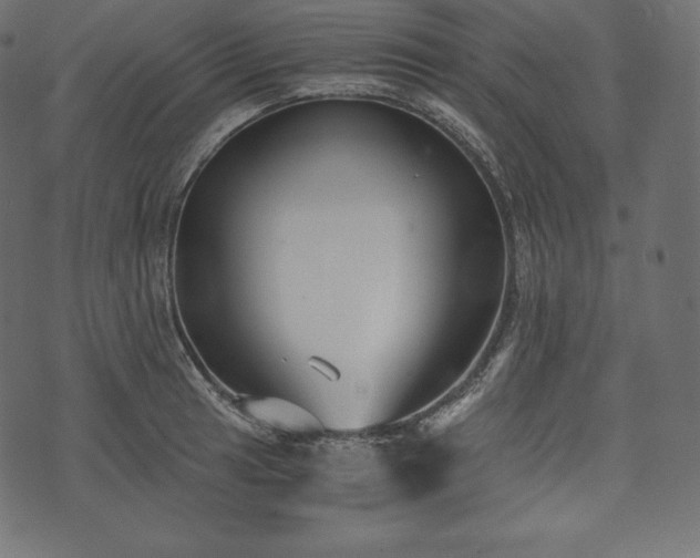 X0000073861041200608170937