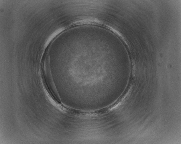 X0000073861042200608170937