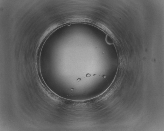 X0000073861043200608170937