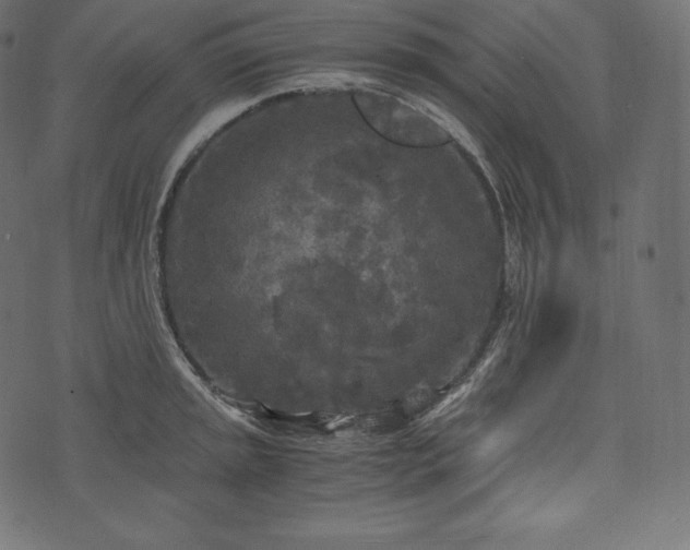 X0000073861045200608170937