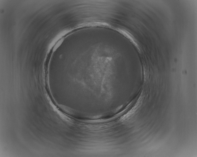 X0000073861046200608170937