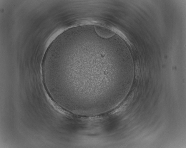 X0000073861047200608170937