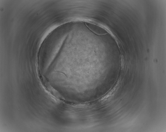 X0000073861048200608170937