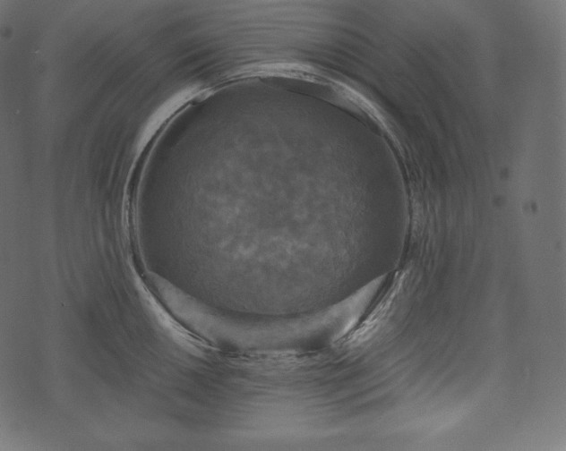 X0000073861050200608170937