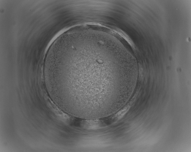 X0000073861052200608170937