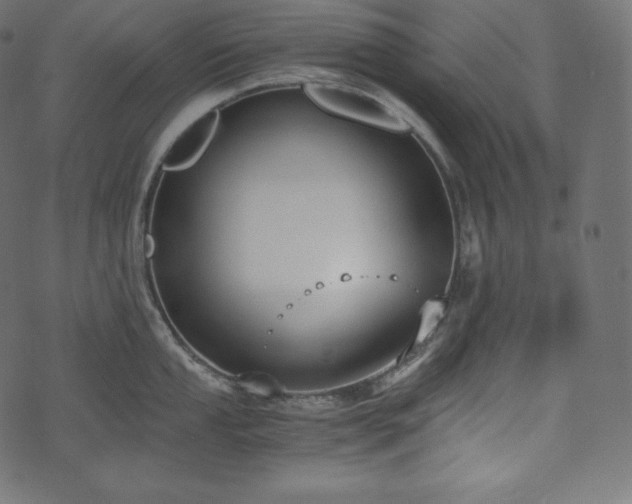 X0000073861053200608170937