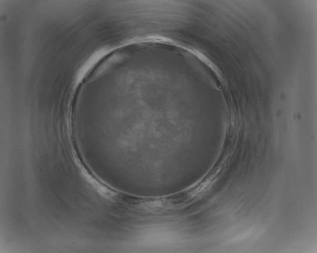 X0000073861054200608170937