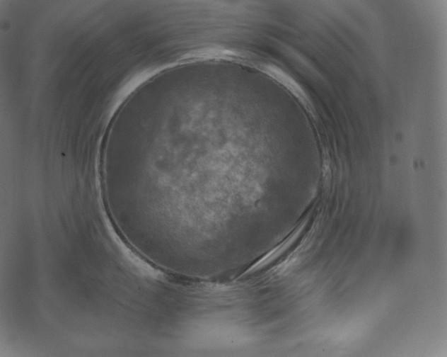 X0000073861055200608170937