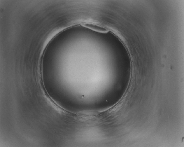 X0000073861056200608170937