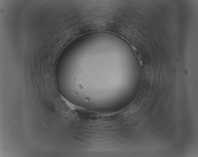 X0000073861057200608170937