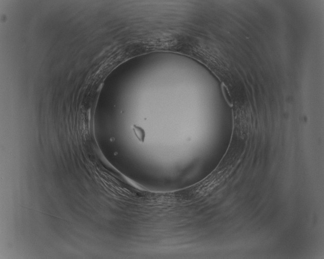 X0000073861058200608170937