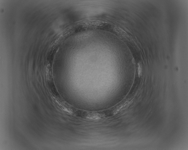 X0000073861059200608170937