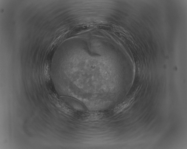 X0000073861060200608170937