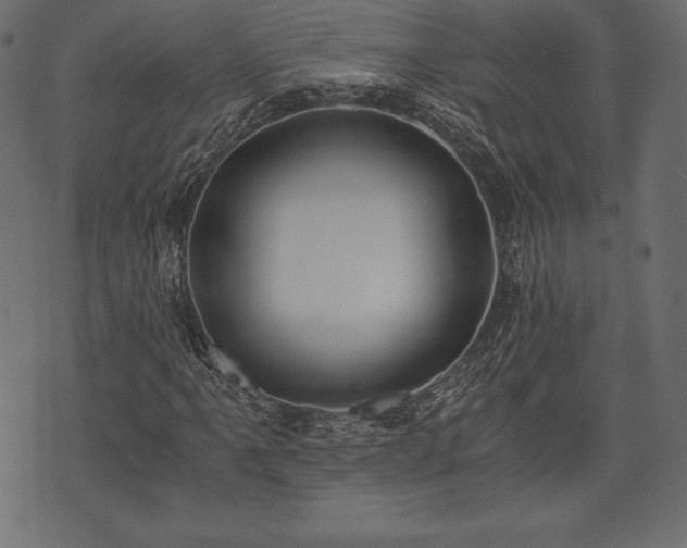 X0000073861061200608170937