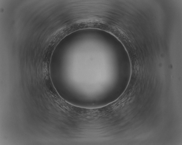 X0000073861062200608170937