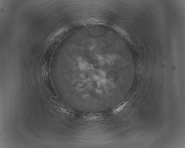 X0000073861063200608170937