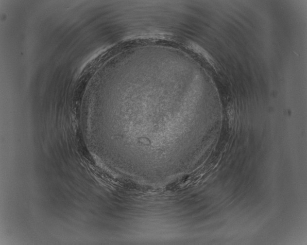 X0000073861064200608170937