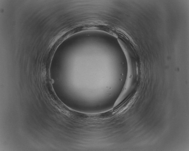 X0000073861065200608170937